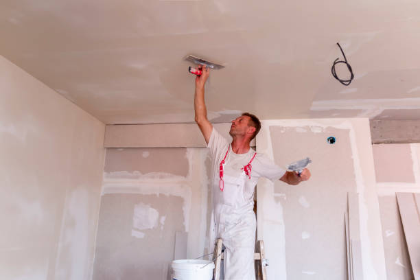 Best Repainting for Renovations  in Evergreen Park, IL